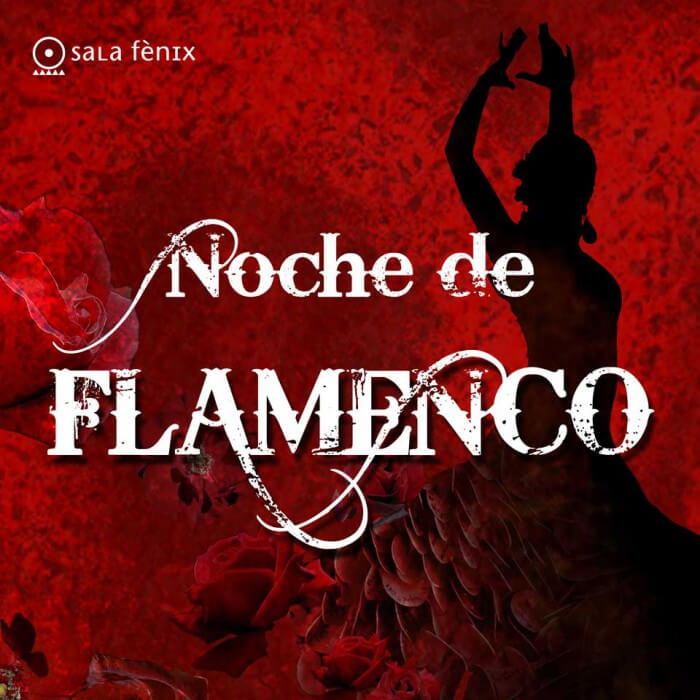 Noche de Flamenco